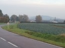 mont de Cassel au fond